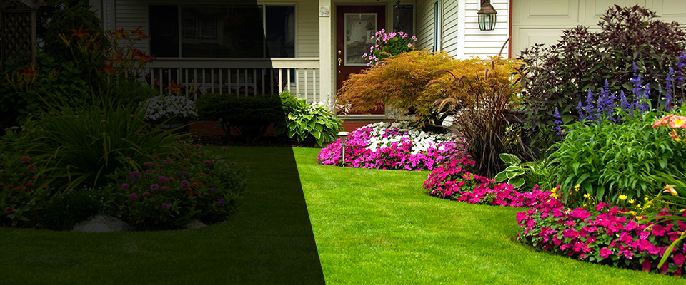 Quinlan Landscapers