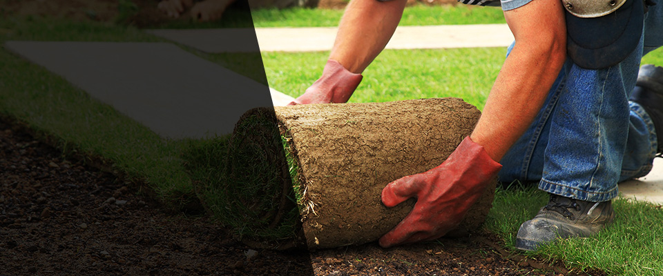 Quinlan Landscapers